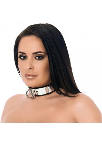 Collar with metal and padlock.