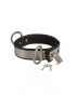 Collar with metal and padlock.