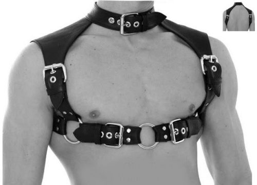 Mens Harness with Neck Collar.