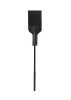 S&M Riding Crop.
