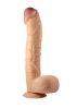 Legendary king-sized-28cm.