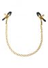 Fetish Fantasy Gold Nipple Chain Clamps.