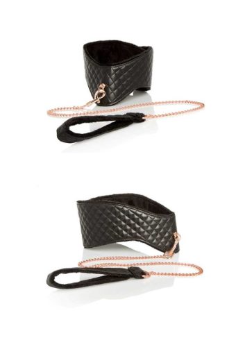 Posture Collar With Leash.