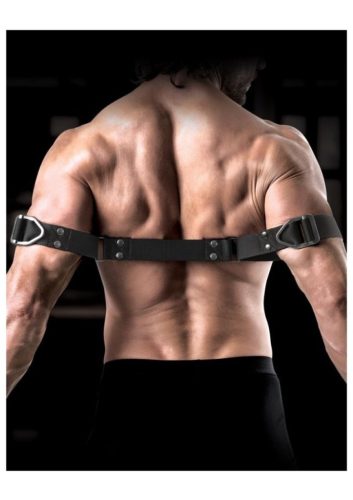 Sir Richards -Bicepsz bilincs.