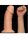 Curved Dildo -23cm.