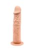 Barbara Calvin dildo-20cm.