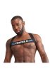 Urban Club harness X-back Striped-kék.