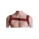 MACHO RED HARNESS.
