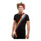 Rainbow Sash.