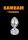 LED metal anal plug -közepes.