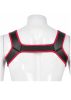 HARRY Mens Neoprene Harness.