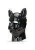 Latex Pig Hood.