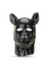 Latex Pig Hood.