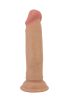Pretty Quentin dong,17cm