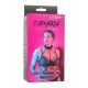 Euphoria Chain Collar Harness