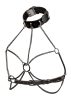 Euphoria Chain Collar Harness