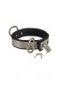 Collar with metal and padlock.