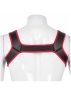 HARRY Mens Neoprene Harness.