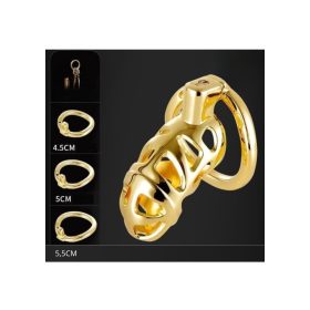 Arany szerszám erényöv